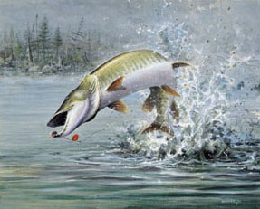 muskie art