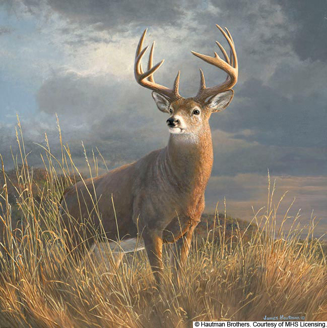 famous whitetail deer paintings