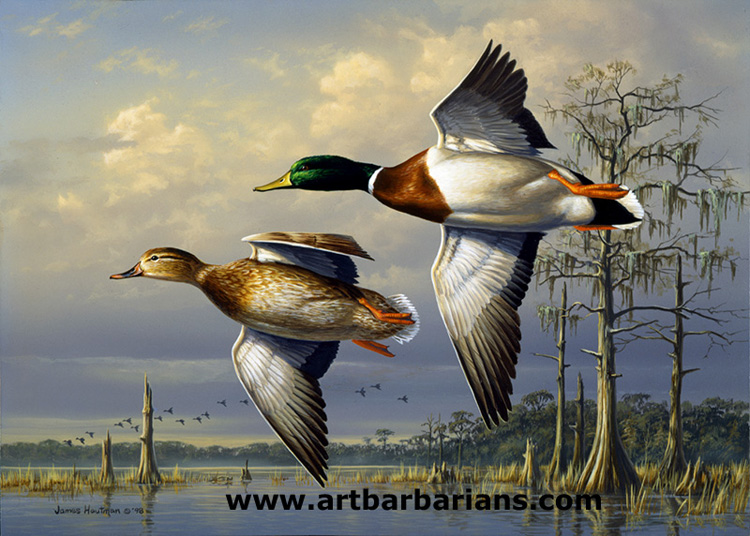 Wildlife Art Prints Plus Original Paintings With A Wide, 41% OFF