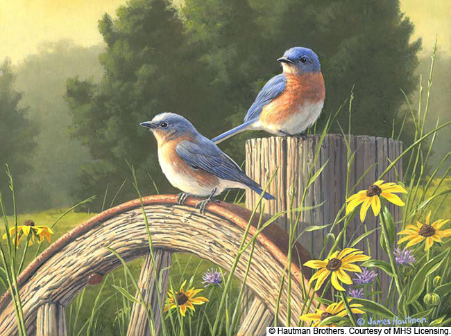 Wildlife art prints plus original paintings with a wide selection from   located in Minnesota.