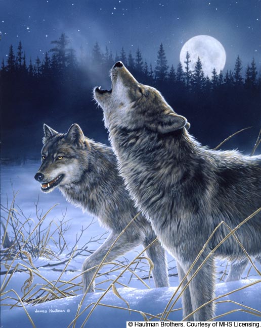 Wildlife art prints plus original paintings with a wide selection from ...