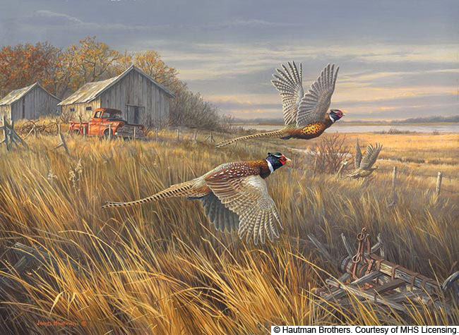 pheasant hunting paintings