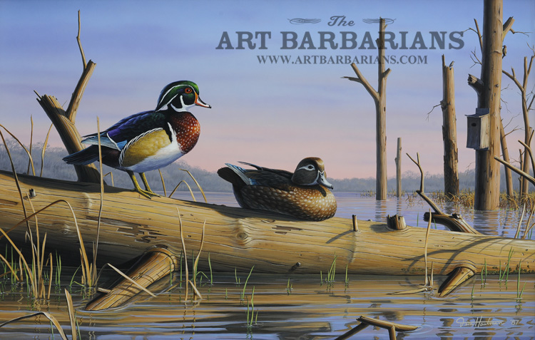 duck paintings