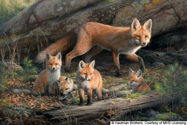 The Fox Family Painting Kit