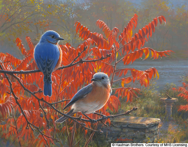 Wildlife art prints plus original paintings with a wide selection from   located in Minnesota.