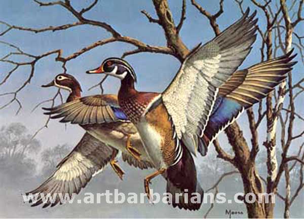 Wildlife art prints plus original paintings with a wide selection