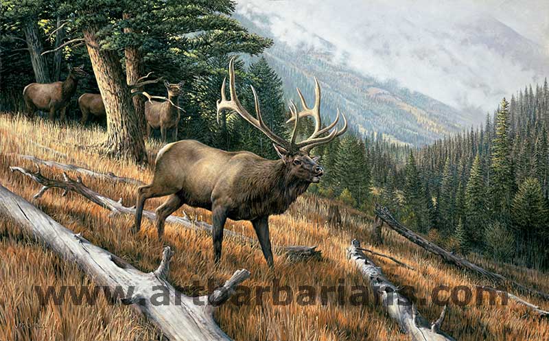 world record rocky mountain elk