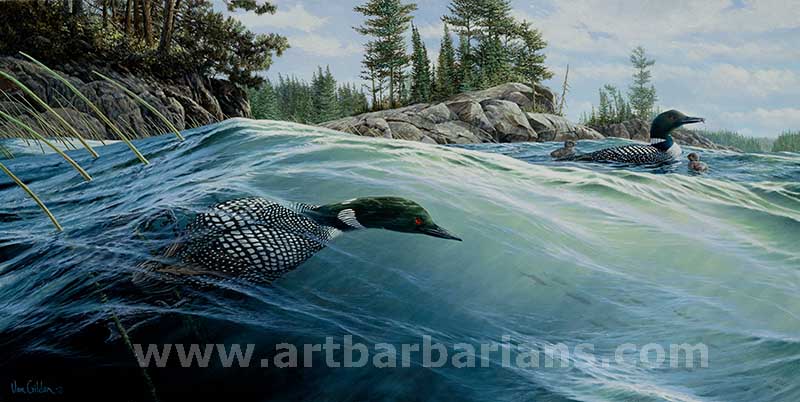 common loon painting