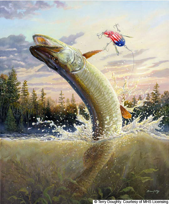 Muskie Paintings