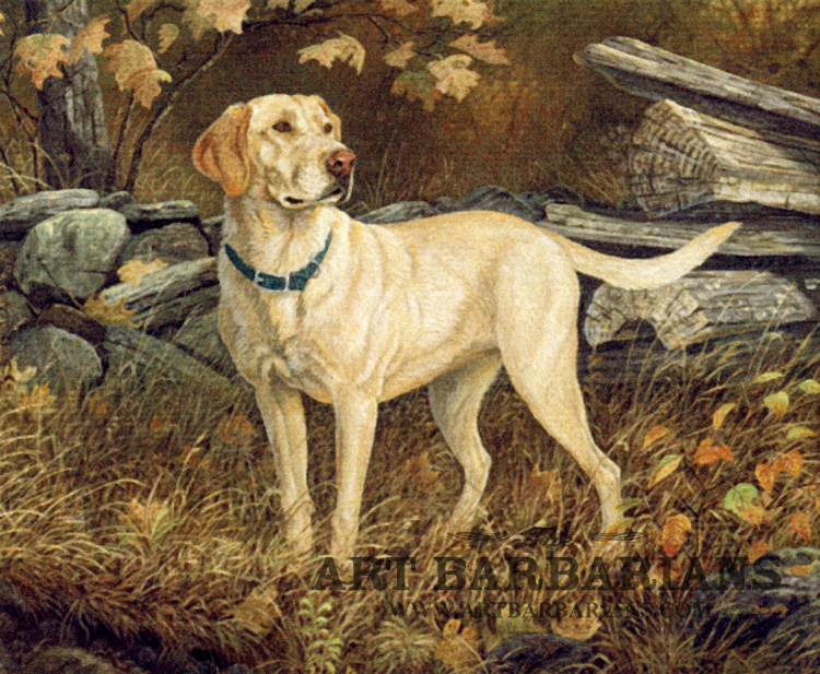 Wildlife art prints plus original paintings with a wide selection from   located in Minnesota.