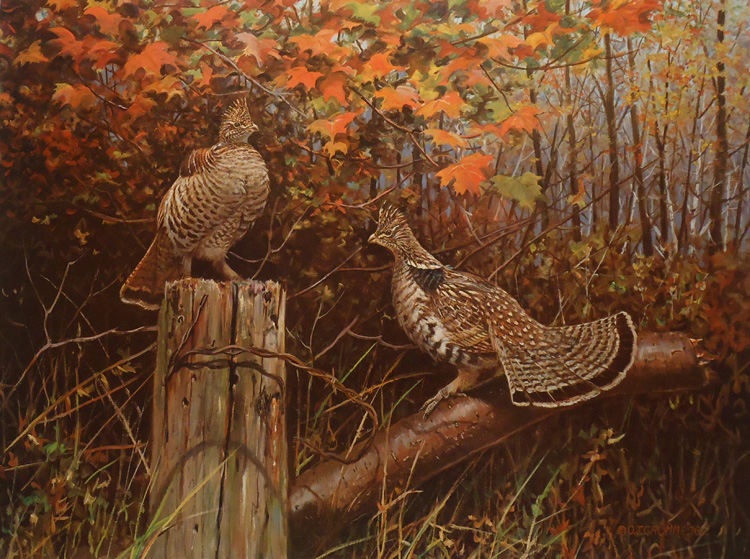 Wildlife art prints plus original paintings with a wide selection from ...