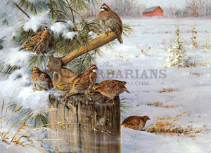 Wildlife art prints plus original paintings with a wide selection from ...