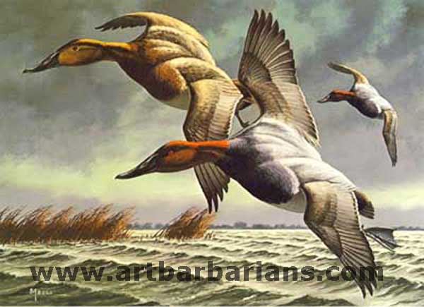 Wildlife art prints plus original paintings with a wide selection from ...