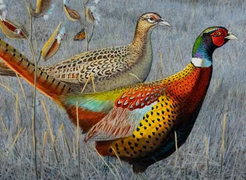 Wildlife art prints plus original paintings with a wide selection