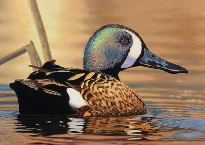 Wildlife art prints plus original paintings with a wide selection