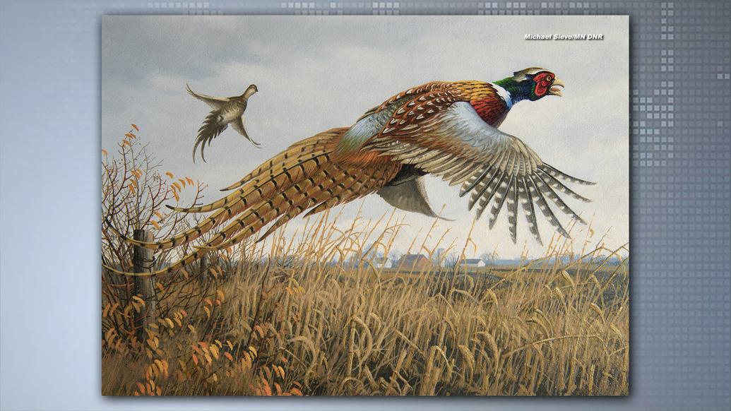 Wildlife art prints plus original paintings with a wide selection from   located in Minnesota.