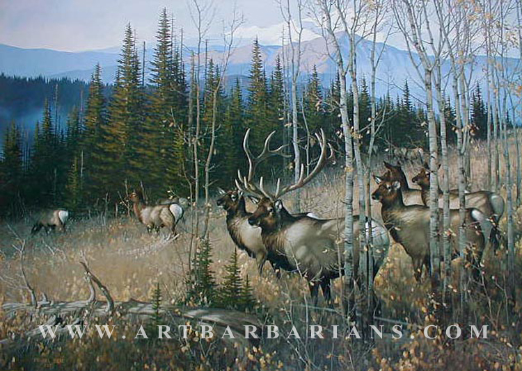 Wildlife art prints plus original paintings with a wide selection