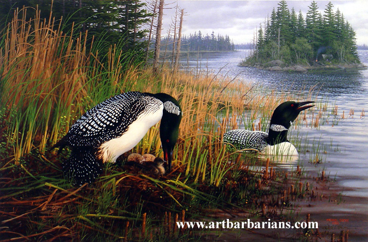 common loon painting