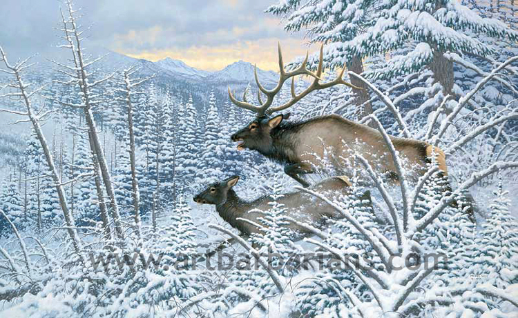 Wildlife art prints plus original paintings with a wide selection from ...