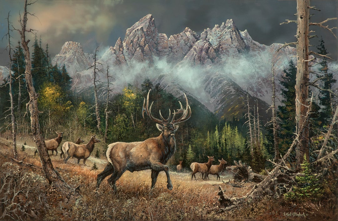 elk paintings