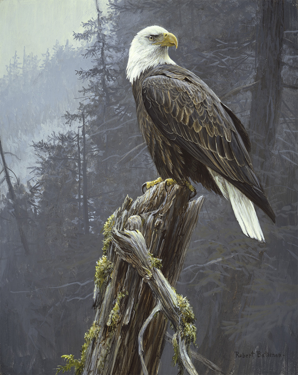 Eagle's Perch: Paint by Numbers - The Majesty of Nature Awaits