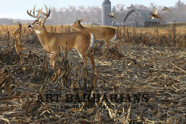 Wildlife art prints plus original paintings with a wide selection from   located in Minnesota.