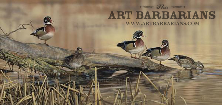 Tranquil Waters - Wood Ducks — Scot Storm Wildlife Art