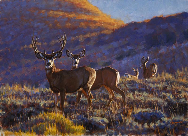 Wildlife art prints plus original paintings with a wide selection from ...