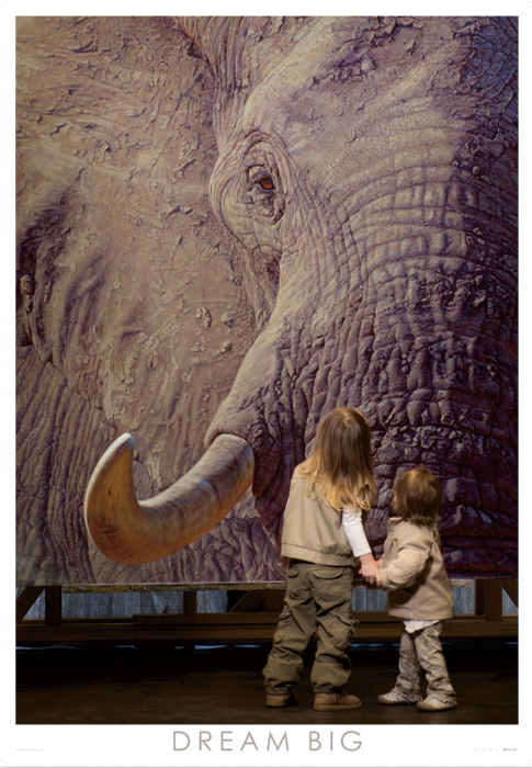 John Banovich - The Big Five Collection- Elephant – Banovich Art