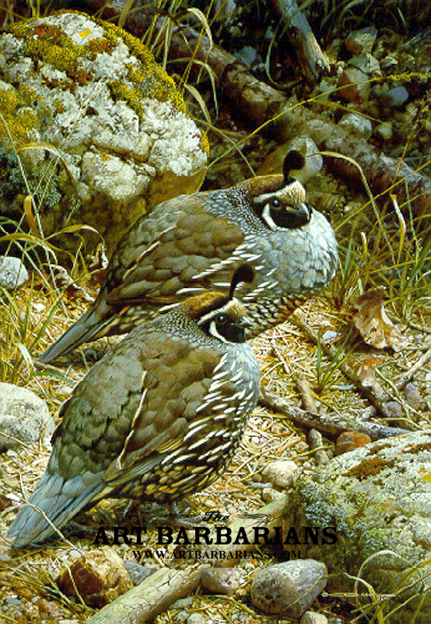 Wildlife artist peter ford #7