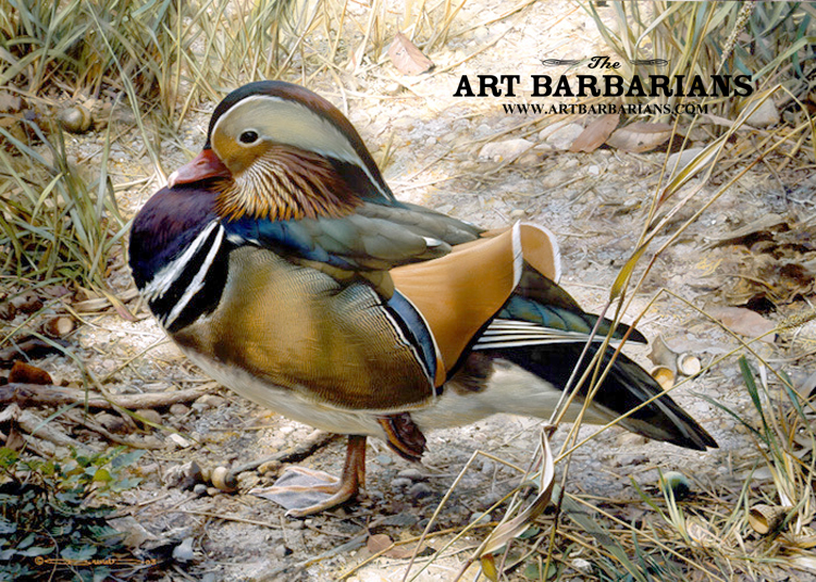 Wildlife art prints plus original paintings with a wide selection