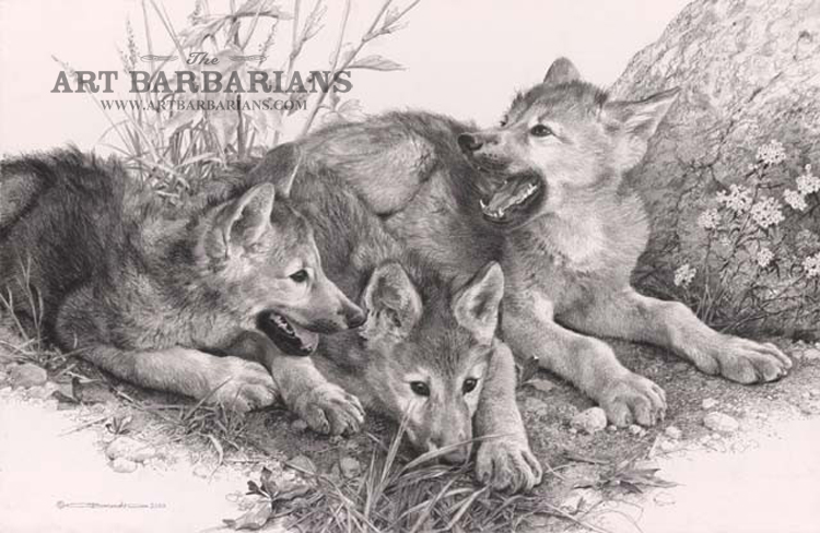 wolf pups drawings